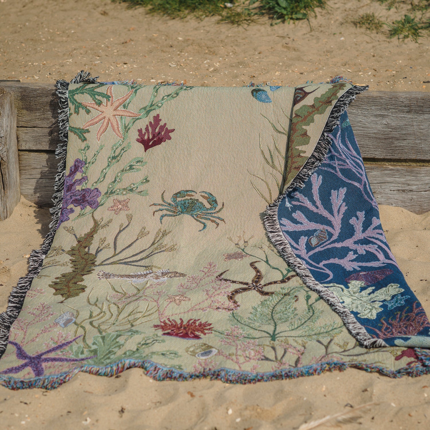 an Arcana Intertidal Sand blanket with sea creatures on it lying on the sand on the beach