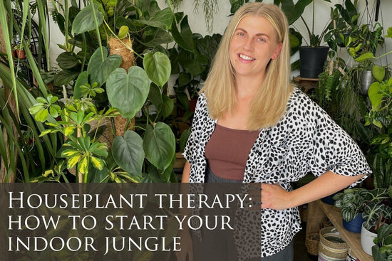 Houseplant Therapy:  How to Start Your Indoor Jungle